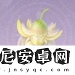 無限暖暖日光果在哪