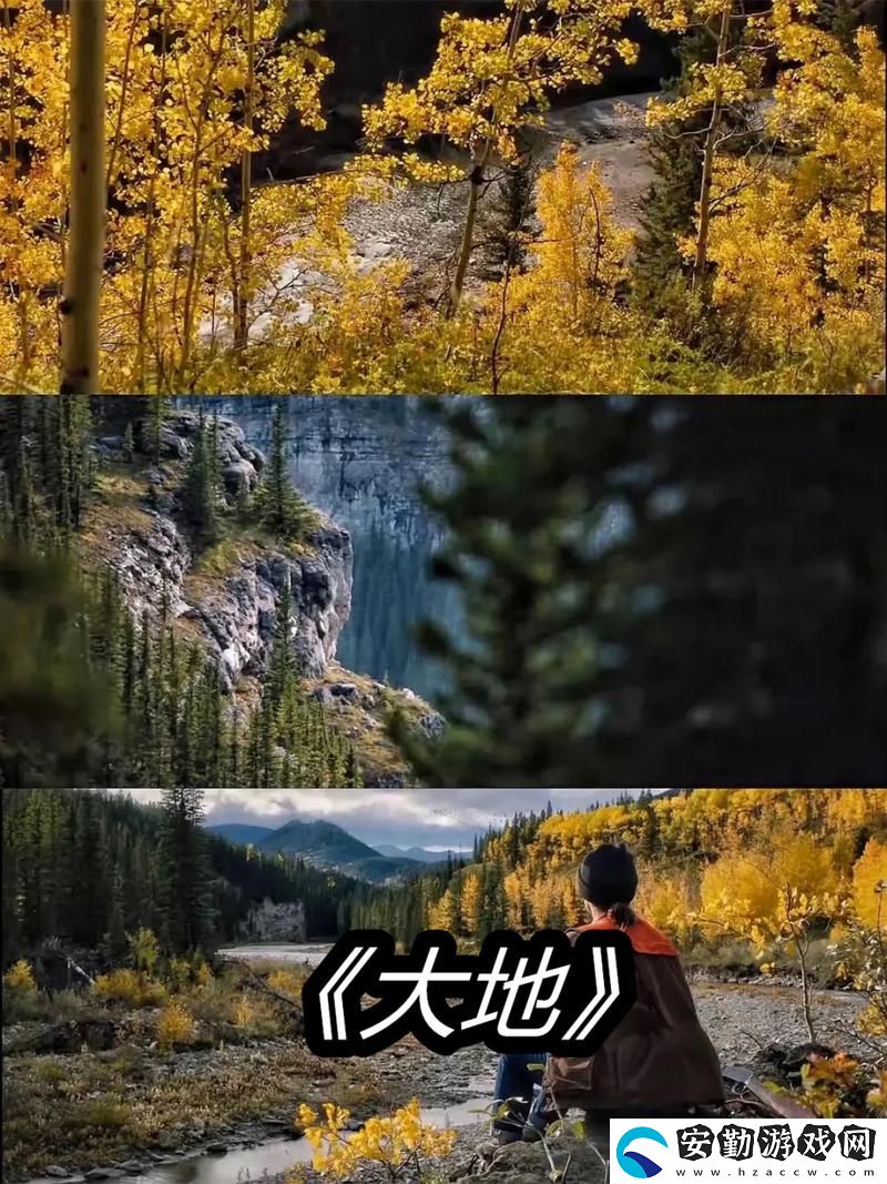 探索“大地資源視頻在線觀看免費(fèi)高清”的無限可能