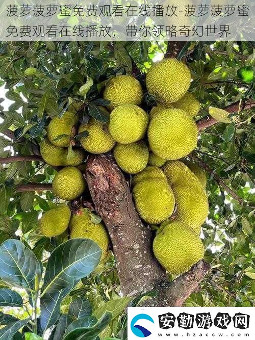菠蘿菠蘿蜜免費觀看在線播放菠蘿菠蘿蜜免費觀看在線播放帶你領(lǐng)略奇幻世界
