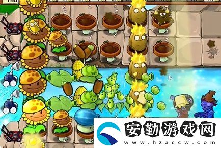 植物大戰(zhàn)僵尸雜交版冒險第22關(guān)怎么過