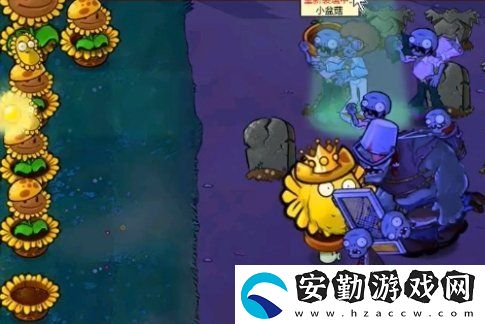 植物大戰(zhàn)僵尸雜交版第60關(guān)怎么打