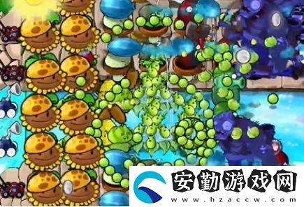 植物大戰(zhàn)僵尸雜交版冒險24關(guān)怎么放置植物