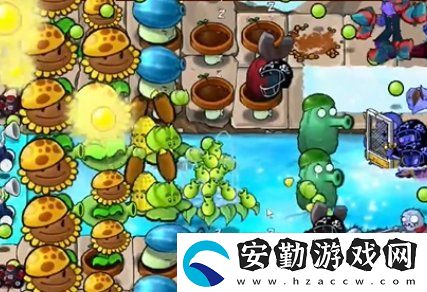 植物大戰(zhàn)僵尸雜交版冒險24關(guān)怎么放置植物