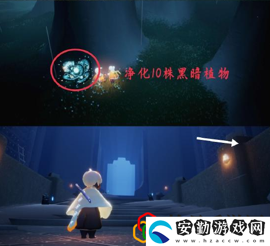 光遇3.24每日任務(wù)是什么