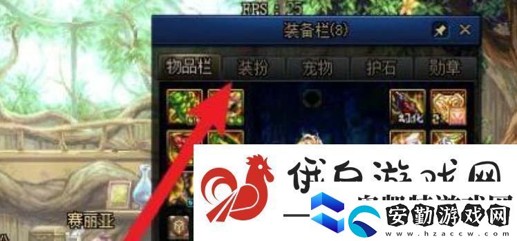 dnf裝扮預設取消方法