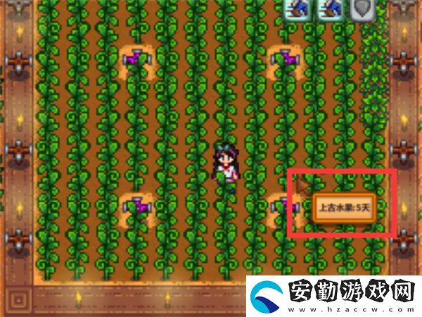 星露谷物語(yǔ)上古種子種植需注意什么