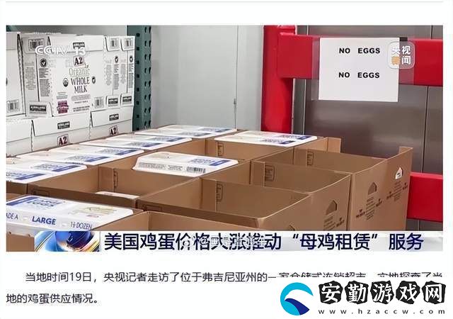 美蛋價(jià)飆升催熱母雞租賃