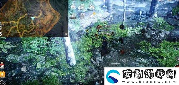 黑色沙漠碩大而特別的花任務(wù)攻略