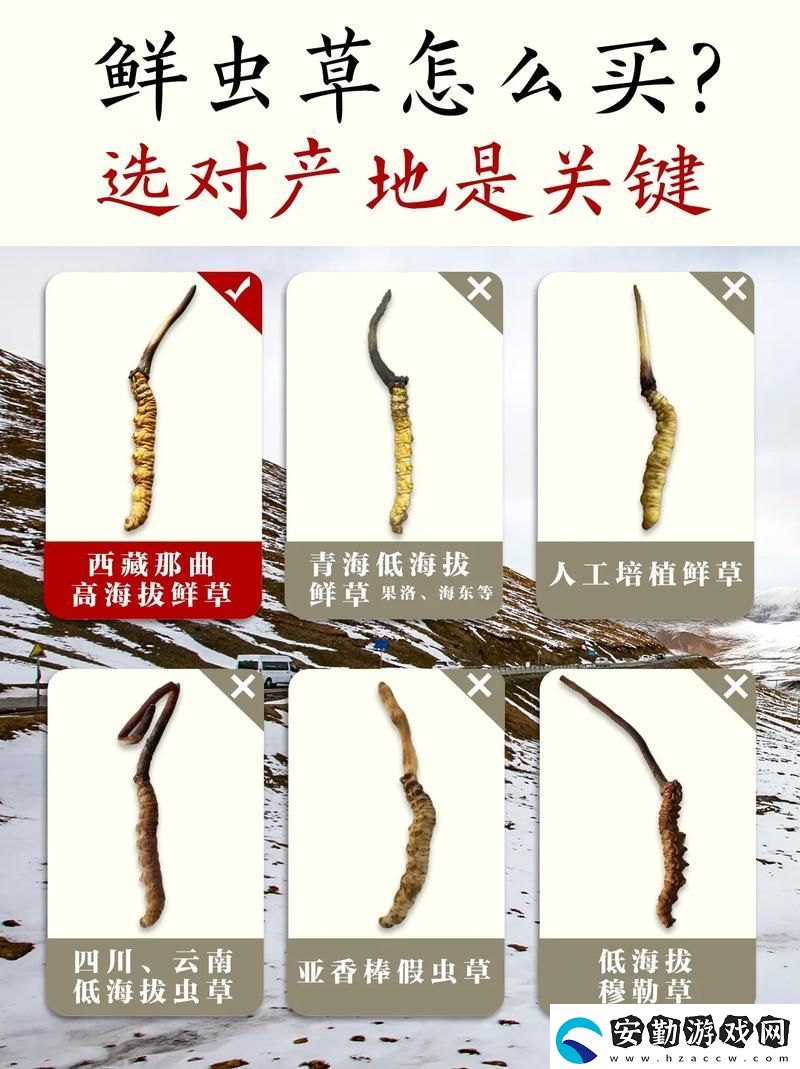 嫩草精產(chǎn)一二三產(chǎn)區(qū)
