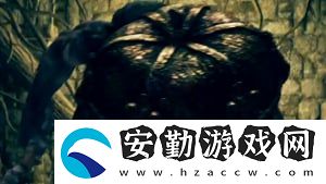 艾爾登法環(huán)南瓜頭位置及打法介紹