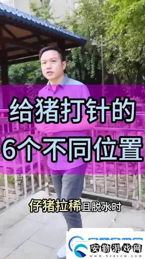 狩獵時刻挑戰(zhàn)毒豬全面解析毒豬打法策略與技巧攻略