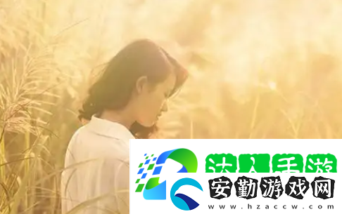 打開B站看直播