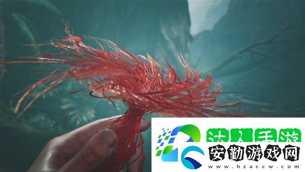 怪物獵人荒野攻略總匯