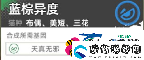貓之城主題貓?jiān)趺传@得