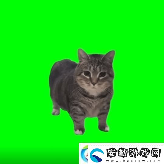 貓貓的奇幻漂流導(dǎo)演應(yīng)中國粉絲要求