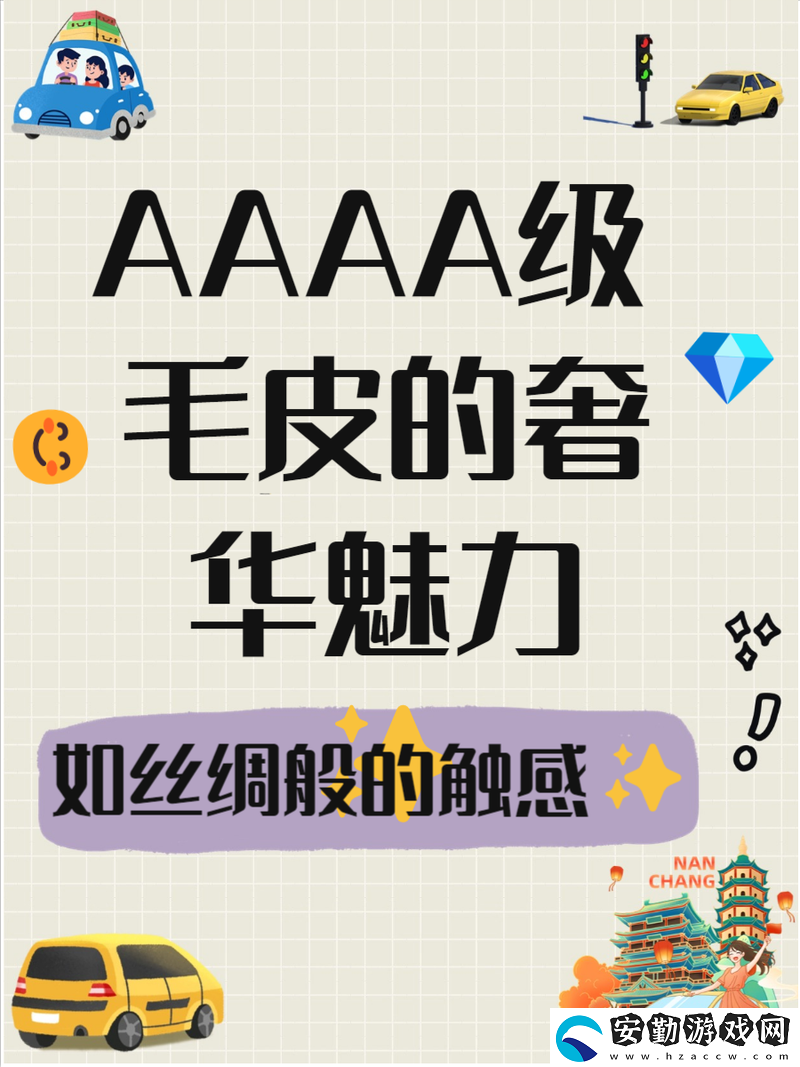 解析AAAA級毛與AAAA的區(qū)別
