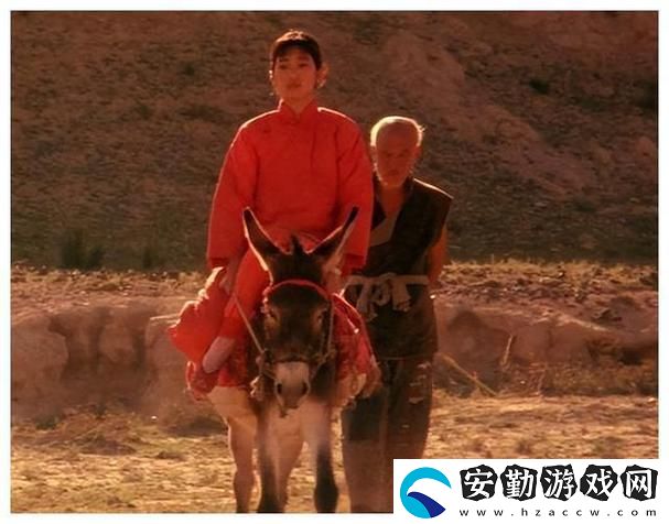 小毛驢影視在線(xiàn)觀看