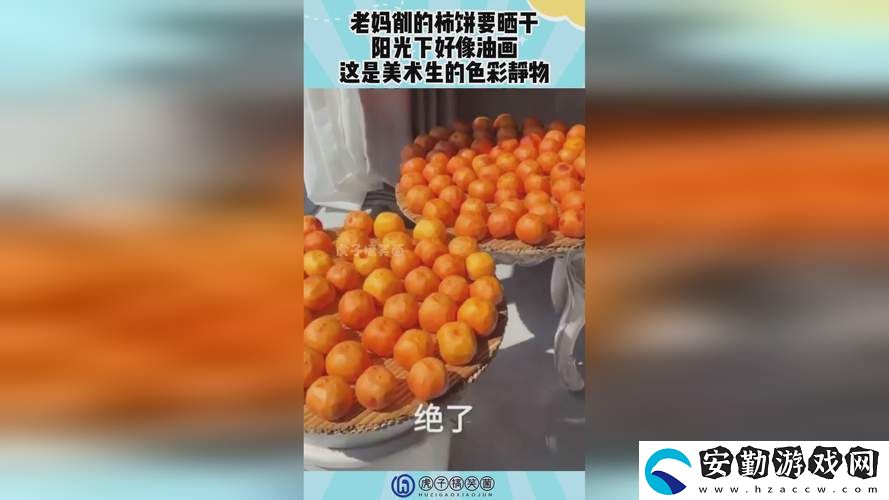 探索“400多個成品視頻”的創(chuàng)意與價值