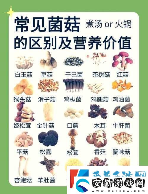 江湖悠悠菌菇木耳食譜