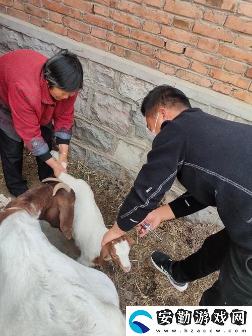 人與畜禽共性行為的心理學(xué)及其影響