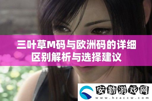三葉草M碼與歐洲碼的詳細區(qū)別解析與選擇建議