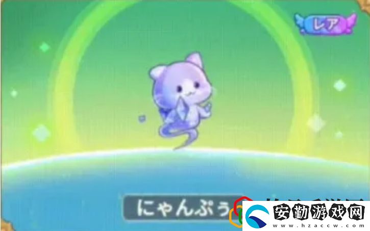 11月1日新珍稀飛寵五只介紹