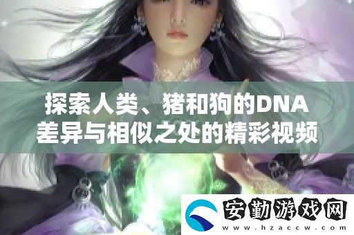 探索人類、豬和狗的DNA差異與相似之處的精彩視頻解讀