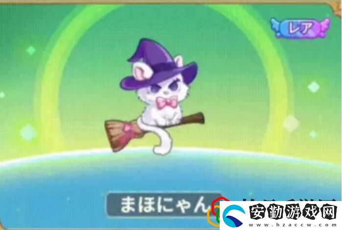 11月1日新珍稀飛寵五只介紹