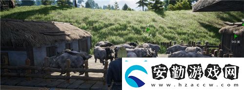 把家變成動(dòng)物園