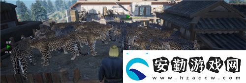 把家變成動(dòng)物園