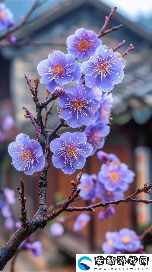 探秘“金花瓶楷梅花2”的藝術魅力與歷史背景