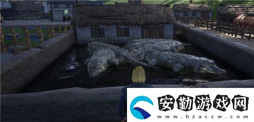 把家變成動(dòng)物園