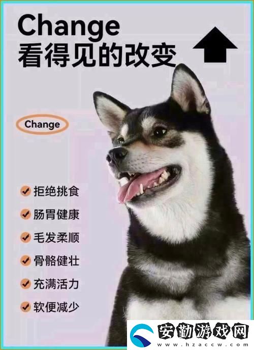 豐富多樣狗狗與人膠配方大全高清下載