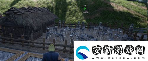 把家變成動(dòng)物園