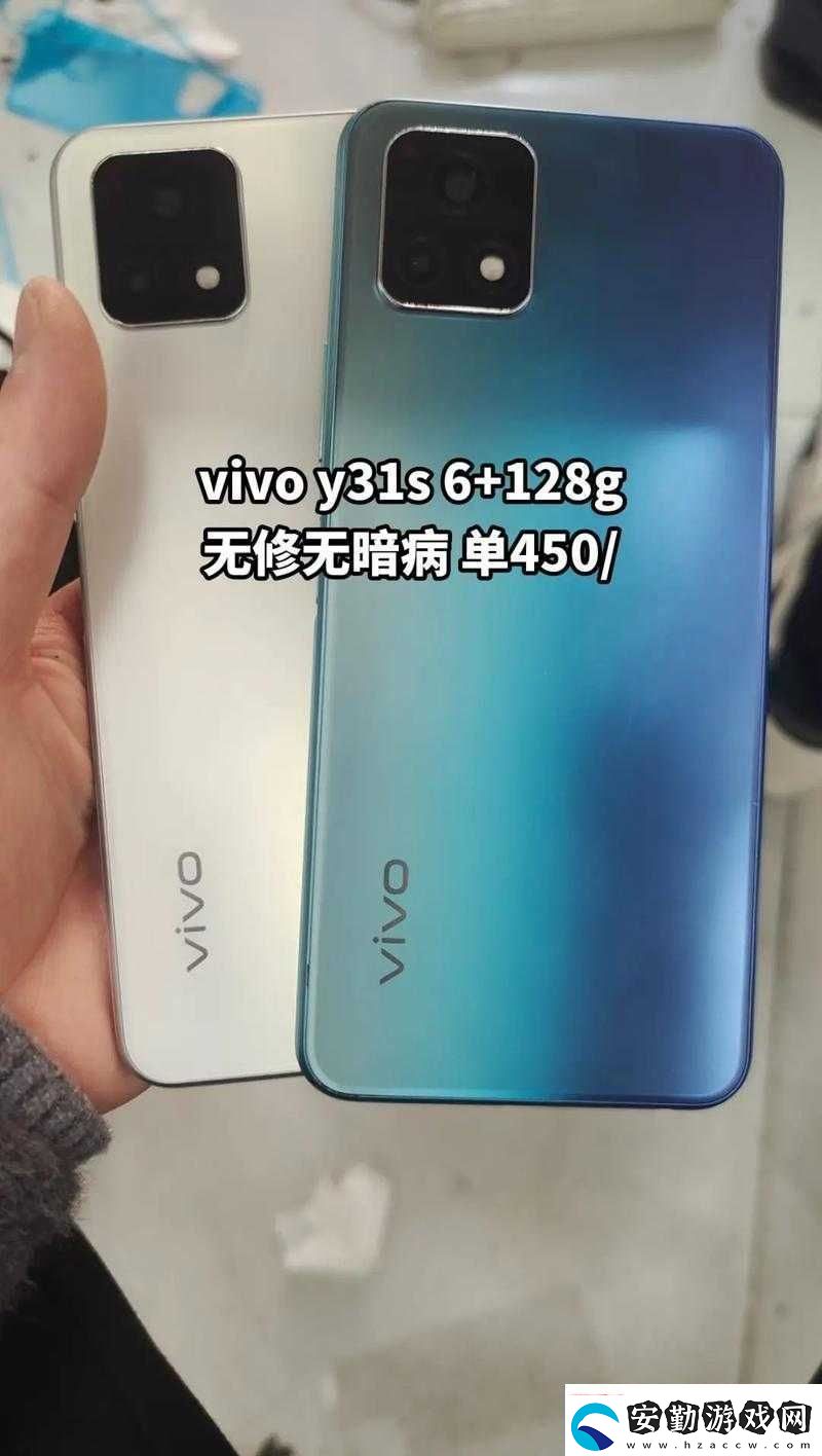 y31