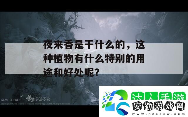 夜來(lái)香是干什么的