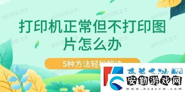 打印機(jī)正常但不打印圖片怎么辦
