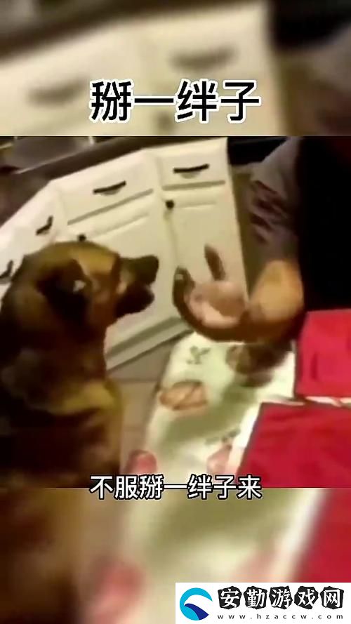 觀看人狗大戰(zhàn)2免費(fèi)觀看正版帶你體驗(yàn)動作與幽默的完美結(jié)合