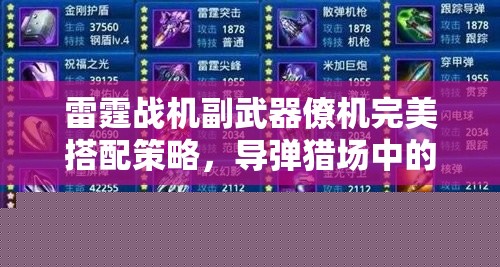 雷霆戰(zhàn)機(jī)副武器搭配策略
