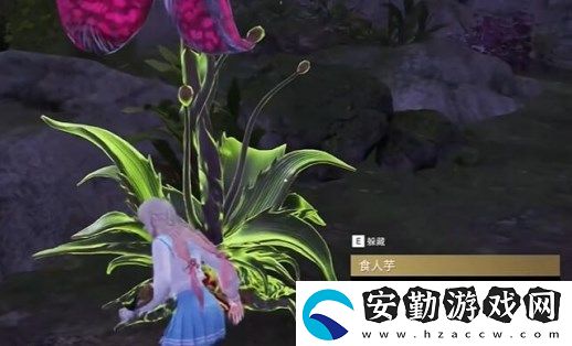 永劫無間龍隱洞天食人芋在哪里