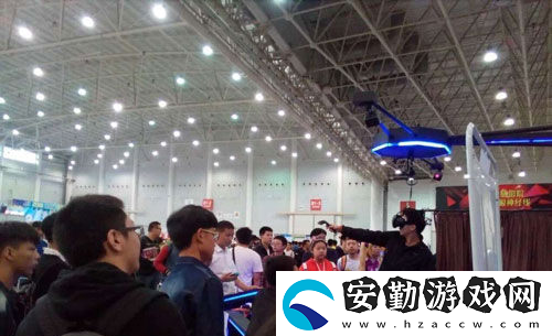 第十屆武漢艾妮動(dòng)漫游戲展元旦開幕