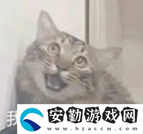 不像我只會心疼giegie梗的意思介紹