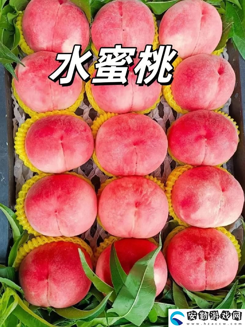 爽?好大?快?水蜜桃視頻