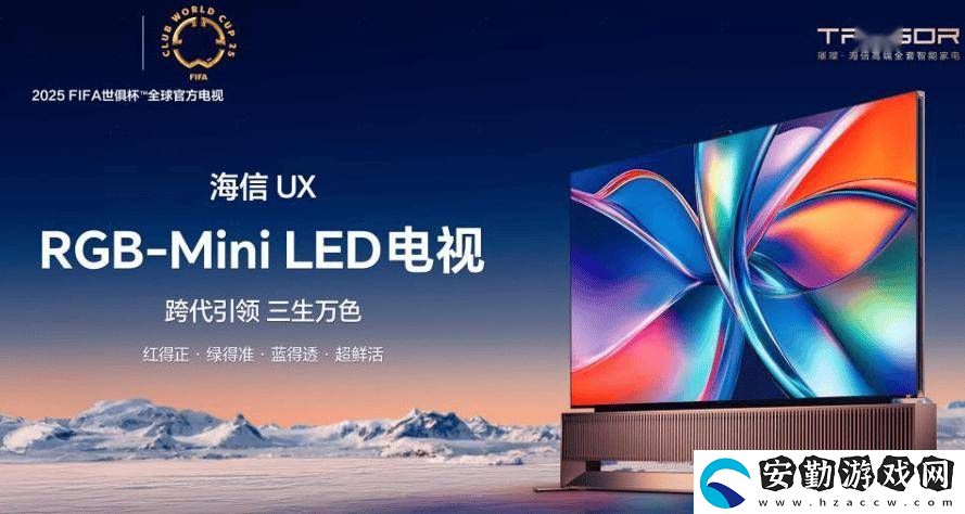 海信視像2024年財(cái)報(bào)亮點(diǎn)